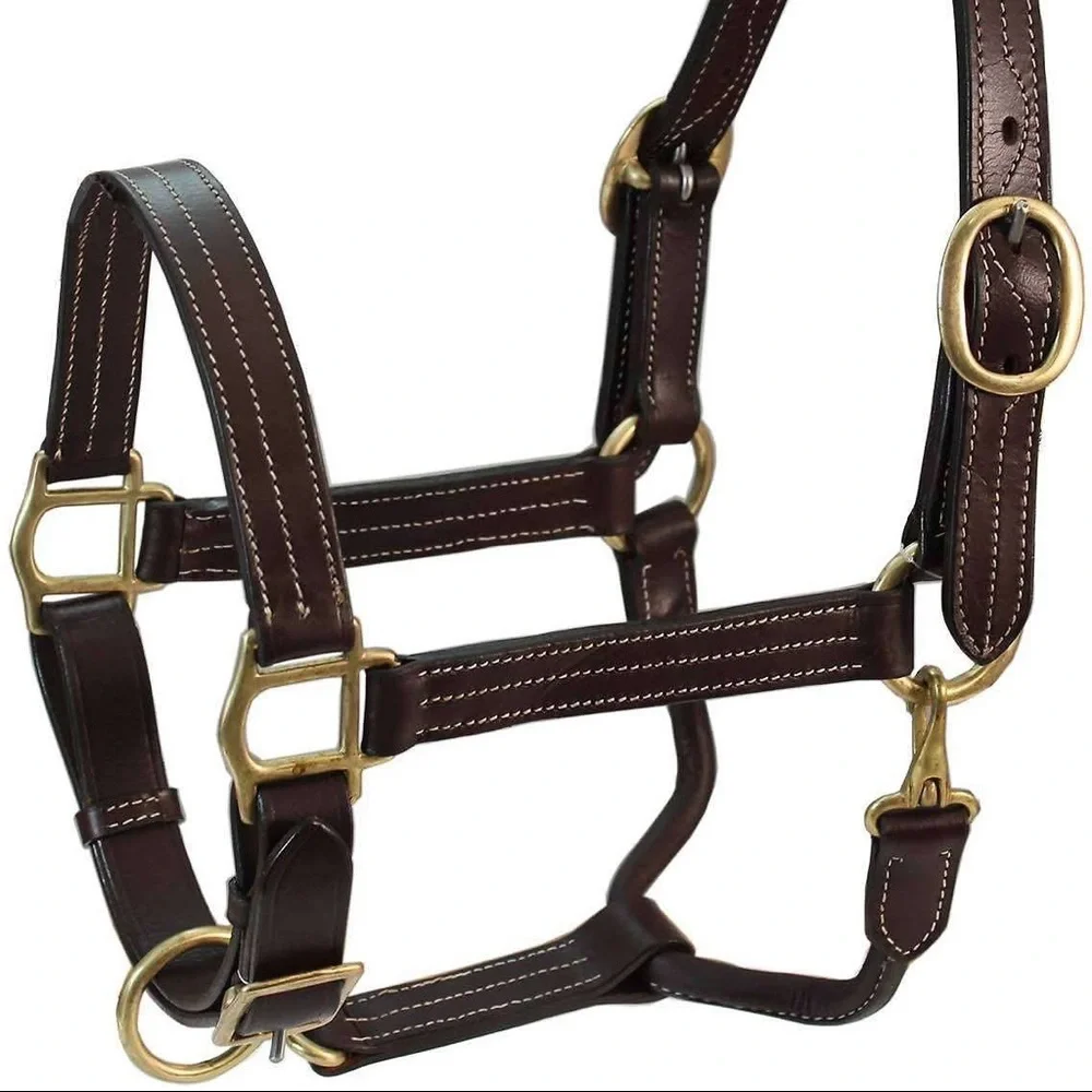 HUGE equestrian ISO!! - Picture 7 of 10